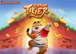 Demonstração do Tiger - Jogue Grátis e Confira Todos os Atributos