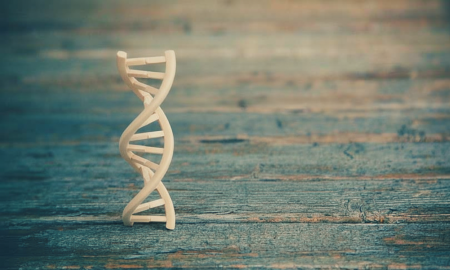 Gemini_Generated_Image_bvgegebvgegebvge